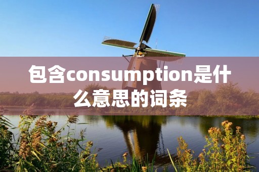 包含consumption是什么意思的词条