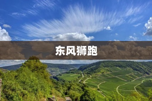东风狮跑:一款值得信赖的SUV 东风狮跑:一款值得信赖的SUV