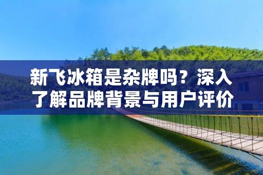 新飞冰箱是杂牌吗？深入了解品牌背景与用户评价