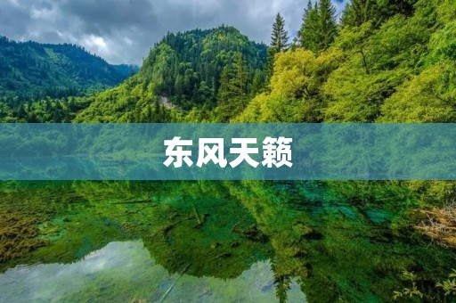 东风天籁:一款细节决定成败的豪华轿车 东风天籁:一款细节决定成败的豪华轿车