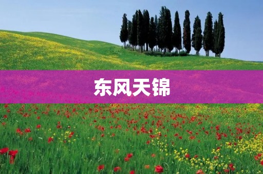 东风天锦:一场盛大的文化盛宴 东风天锦:一场盛大的文化盛宴