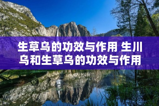 生草乌的功效与作用 生川乌和生草乌的功效与作用