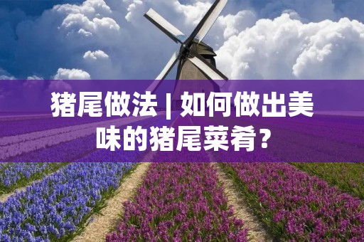 猪尾做法 | 如何做出美味的猪尾菜肴？