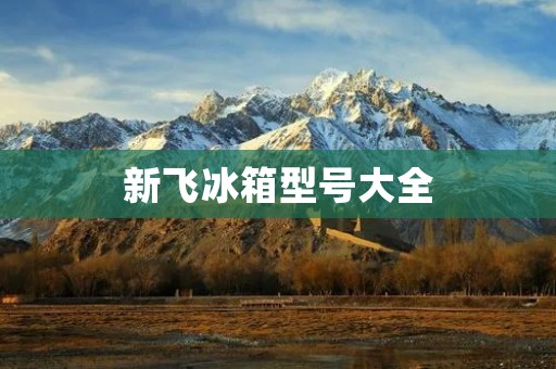 新飞冰箱型号大全:让你的生活更加便利 新飞冰箱型号大全:让你的生活更加便利