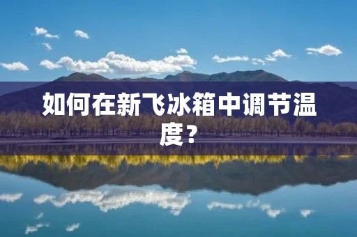 如何在新飞冰箱中调节温度？