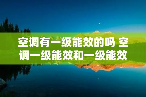 空调有一级能效的吗 空调一级能效和一级能效的区别