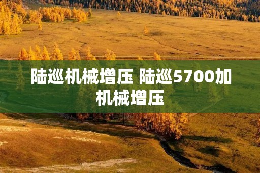 陆巡机械增压 陆巡5700加机械增压 陆巡机械增压 陆巡5700加机械增压