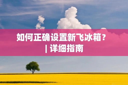 如何正确设置新飞冰箱？ | 详细指南