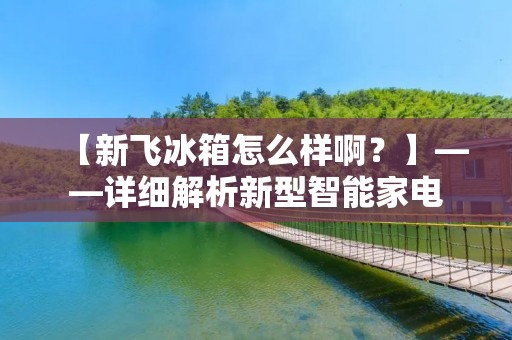 【新飞冰箱怎么样啊？】——详细解析新型智能家电