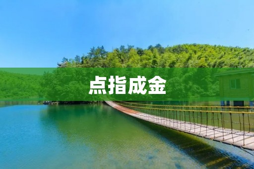 点指成金:如何通过互联网赚取利润 点指成金:如何通过互联网赚取利润