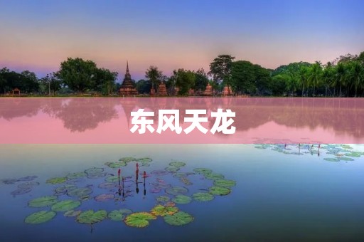 东风天龙:纯正国货大卡车的代表 东风天龙:纯正国货大卡车的代表