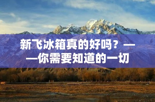 新飞冰箱真的好吗？——你需要知道的一切