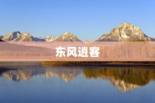 东风逍客：一款城市越野SUV