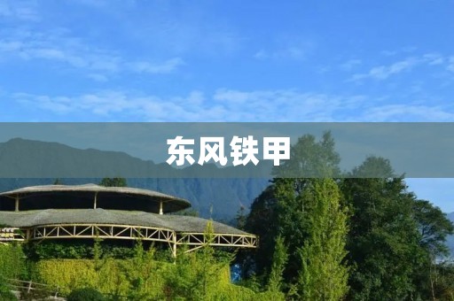 东风铁甲：向未来的探索