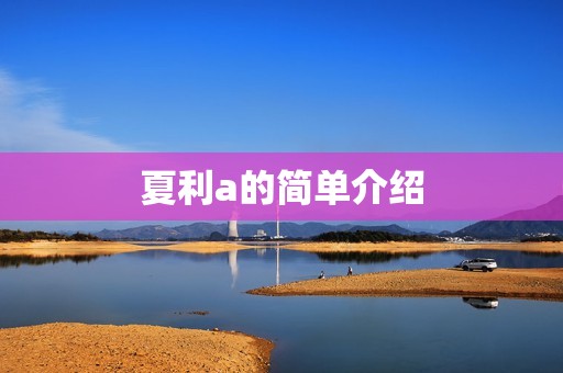 夏利a的简单介绍 夏利a的简单介绍