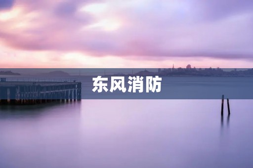 东风消防：从技术到服务的全面升级