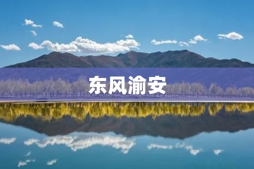 东风渝安：为城市交通保驾护航