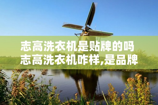 志高洗衣机是贴牌的吗 志高洗衣机咋样,是品牌机吗 志高洗衣机是贴牌的吗 志高洗衣机咋样,是品牌机吗