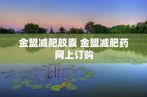 金盟减肥胶囊 金盟减肥药网上订购