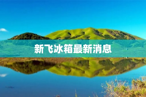 新飞冰箱最新消息：新品发布