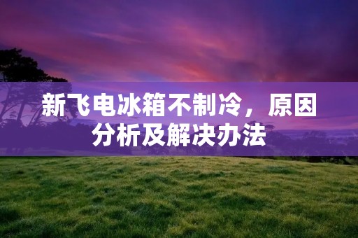 新飞电冰箱不制冷,原因分析及解决办法 新飞电冰箱不制冷,原因分析及解决办法