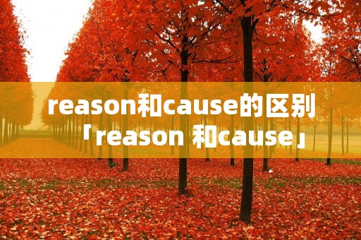 reason和cause的区别「reason 和cause」