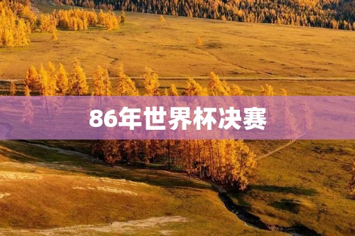 86年世界杯决赛：阿根廷的荣耀时刻