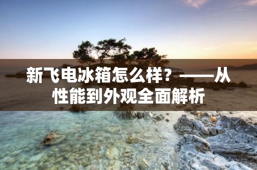新飞电冰箱怎么样？——从性能到外观全面解析