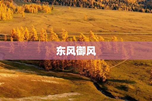 东风御风:带你领略卓越品质与舒适驾乘 东风御风:带你领略卓越品质与舒适驾乘