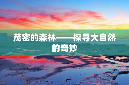 茂密的森林——探寻大自然的奇妙