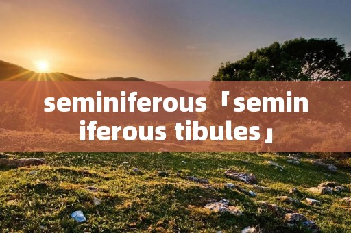 seminiferous「seminiferous tibules」