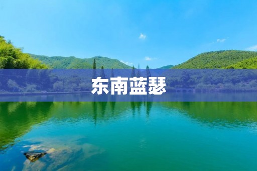 东南蓝瑟:一场魅力与传统的交织 东南蓝瑟:一场魅力与传统的交织