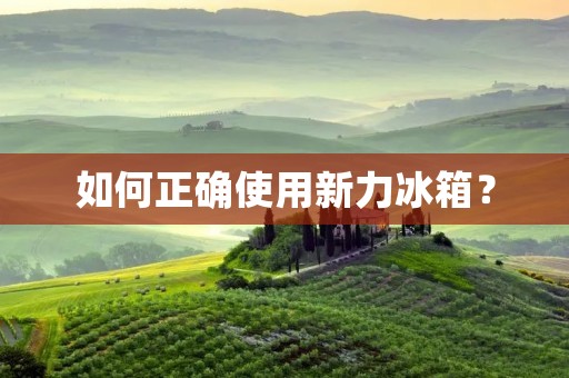 如何正确使用新力冰箱? 如何正确使用新力冰箱?