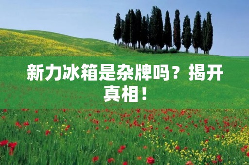 新力冰箱是杂牌吗？揭开真相！