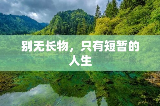 别无长物,只有短暂的人生