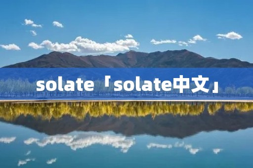 solate「solate中文」