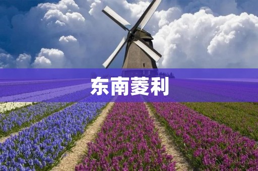 东南菱利：中国汽车品牌的崛起