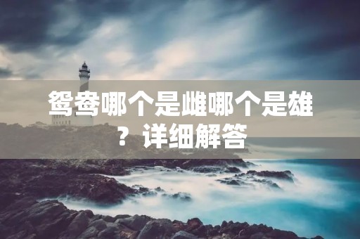 鸳鸯哪个是雌哪个是雄?详细解答