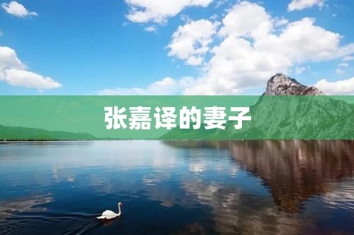 张嘉译的妻子:一个平凡女子的陪伴与支持