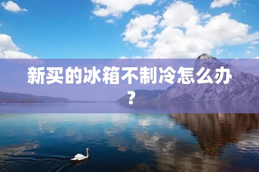 新买的冰箱不制冷怎么办？