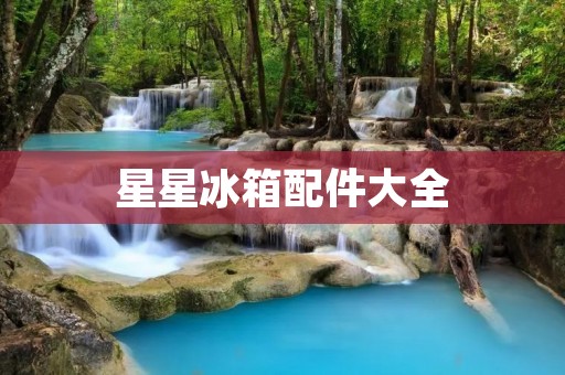 星星冰箱配件大全:让您的冰箱焕然一新 星星冰箱配件大全:让您的冰箱焕然一新