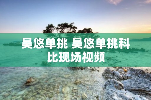 吴悠单挑 吴悠单挑科比现场视频