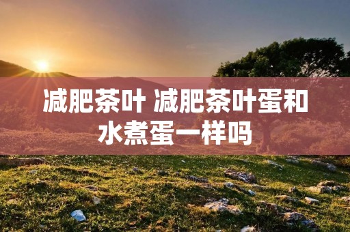 减肥茶叶 减肥茶叶蛋和水煮蛋一样吗