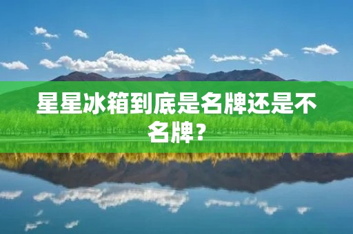 星星冰箱到底是名牌还是不名牌？
