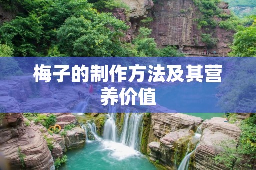 梅子的制作方法及其营养价值 梅子的制作方法及其营养价值