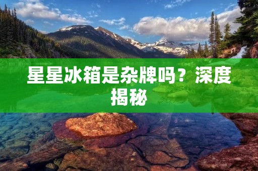 星星冰箱是杂牌吗？深度揭秘