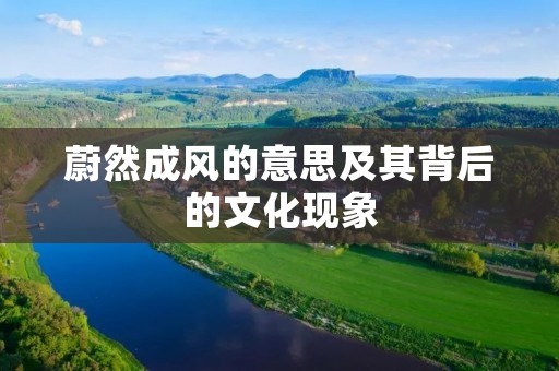 蔚然成风的意思及其背后的文化现象