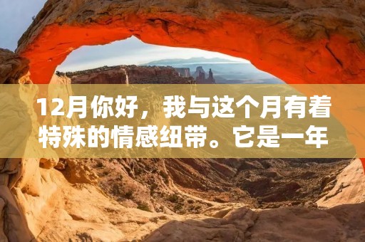 12月你好,我与这个月有着特殊的情感纽带。它是一年中最后一个月,也是最慷慨的一个月。这个月里,我们会迎来圣诞节和新年,人们会忙碌地准备礼物、装饰房间、与家人朋友聚会。同时,也是一个反思、总结和展望的时刻。在这个快乐而又充满期待的时刻,我想分享一些我对12月的感悟。