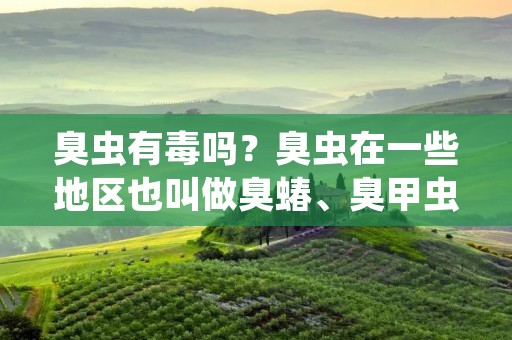 臭虫有毒吗?臭虫在一些地区也叫做臭蝽、臭甲虫,是一种常见的昆虫。它们通常生活在潮湿的环境中,比如河边、池塘、草地等地方。臭虫有一种特殊的防卫机制,当它们感到受到威胁时,会发出一种难闻的气味,以此来吓退敌人。那么,臭虫有毒吗?下面我们来详细探讨一下。 臭虫有毒吗?臭虫在一些地区也叫做臭蝽、臭甲虫,是一种常见的昆虫。它们通常生活在潮湿的环境中,比如河边、池塘、草地等地方。臭虫有一种特殊的防卫机制,当它们感到受到威胁时,会发出一种难闻的气味,以此来吓退敌人。那么,臭虫有毒吗?下面我们来详细探讨一下。