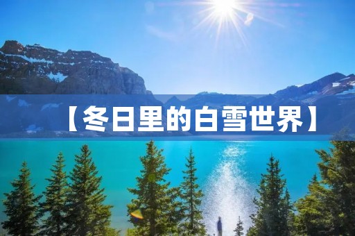 【冬日里的白雪世界】